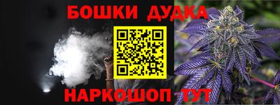 индика Можайск