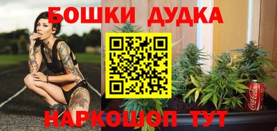 индика Можайск