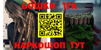 индика Можайск