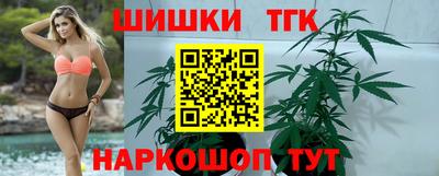 индика Можайск