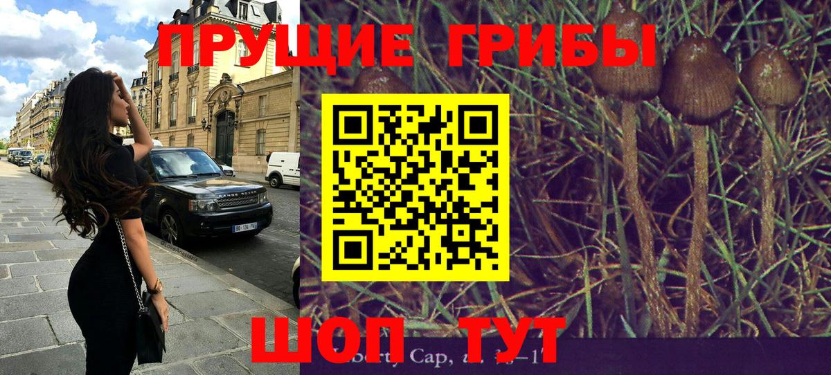 Галлюциногенные грибы мицелий Сегежа