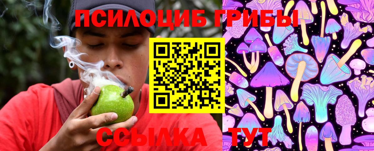 Cocaine  Вход с VPN  Бошки Шишки  Меф кристаллы  A PVP СК кристаллы  Метадон  Купить  Сегежа  ГАШИШ 