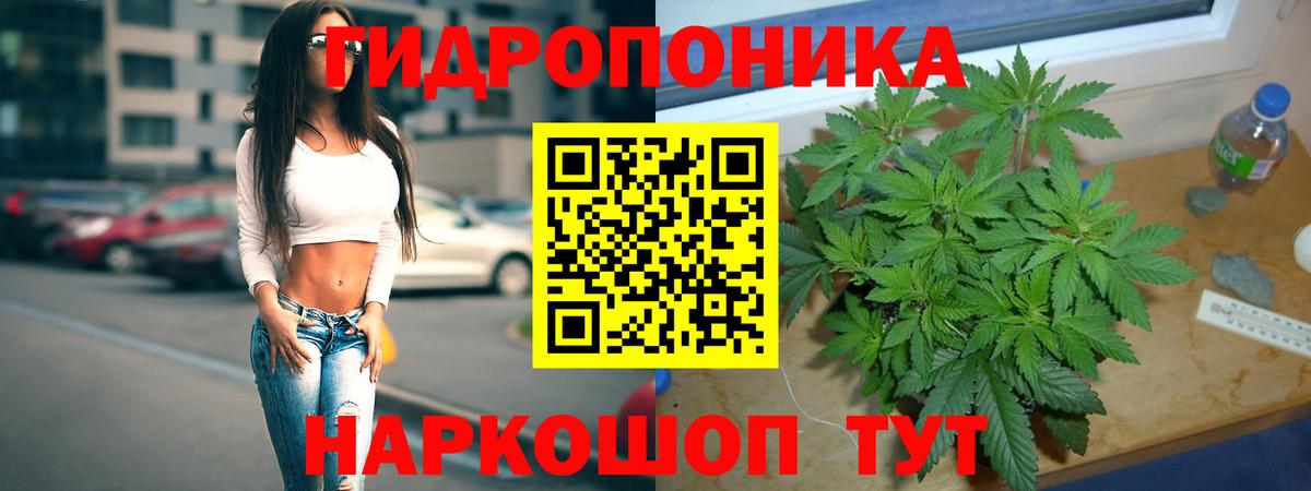 Канабис сатива  Каннабис Bruce Banner  Бошки марихуана конопля  Вход с VPN  Сегежа 